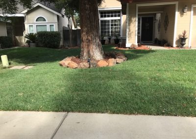 Affordable Lawn Service in North Highlands, CA 95660