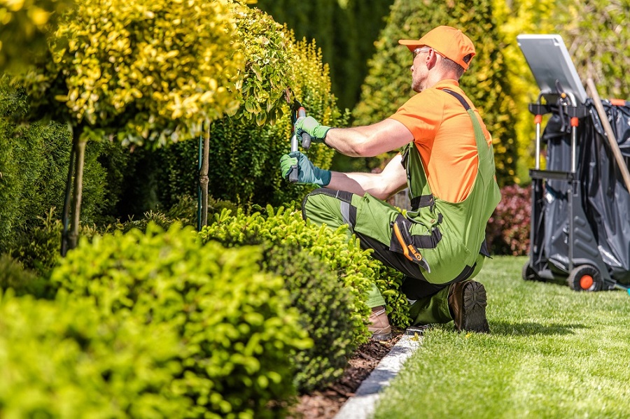 Landscaper in North Highlands, CA Landscaper in North Highlands, CA