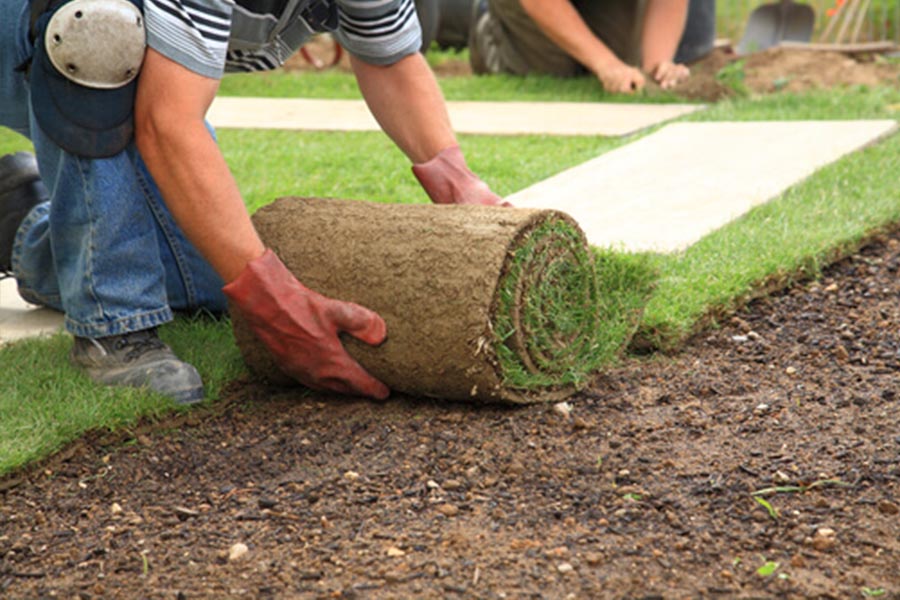 Natural and Synthetic Grass Installation Natural and Synthetic Grass Installation