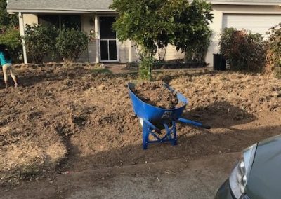 Professional Landscaping