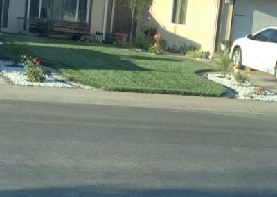 Professional Lawn Service