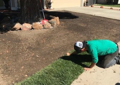 Professional Lawn Service in North Highlands, CA 95660