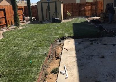 Quality Lawn Service