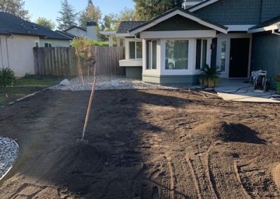 Top-notch Lawn Service