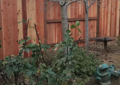 Fence and Landscaping Contractor in North Highlands CA