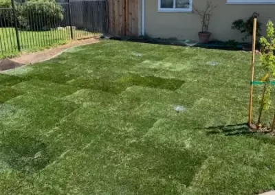 Dependable Landscaper