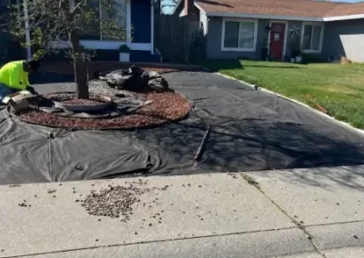 Professional Yard Maintenance